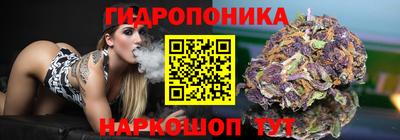 таблы Кингисепп